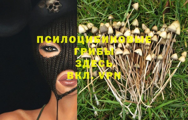 спиды Алексеевка